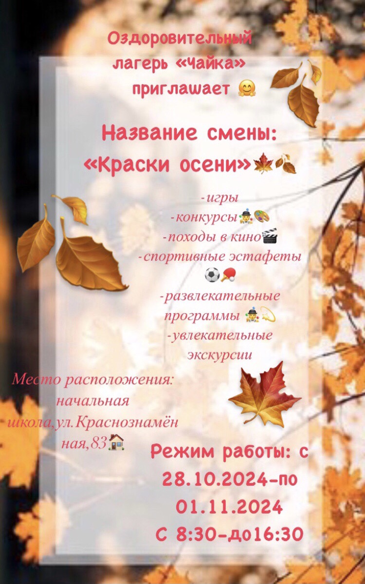 изображение viber 2024-10-31 18-37-37-898